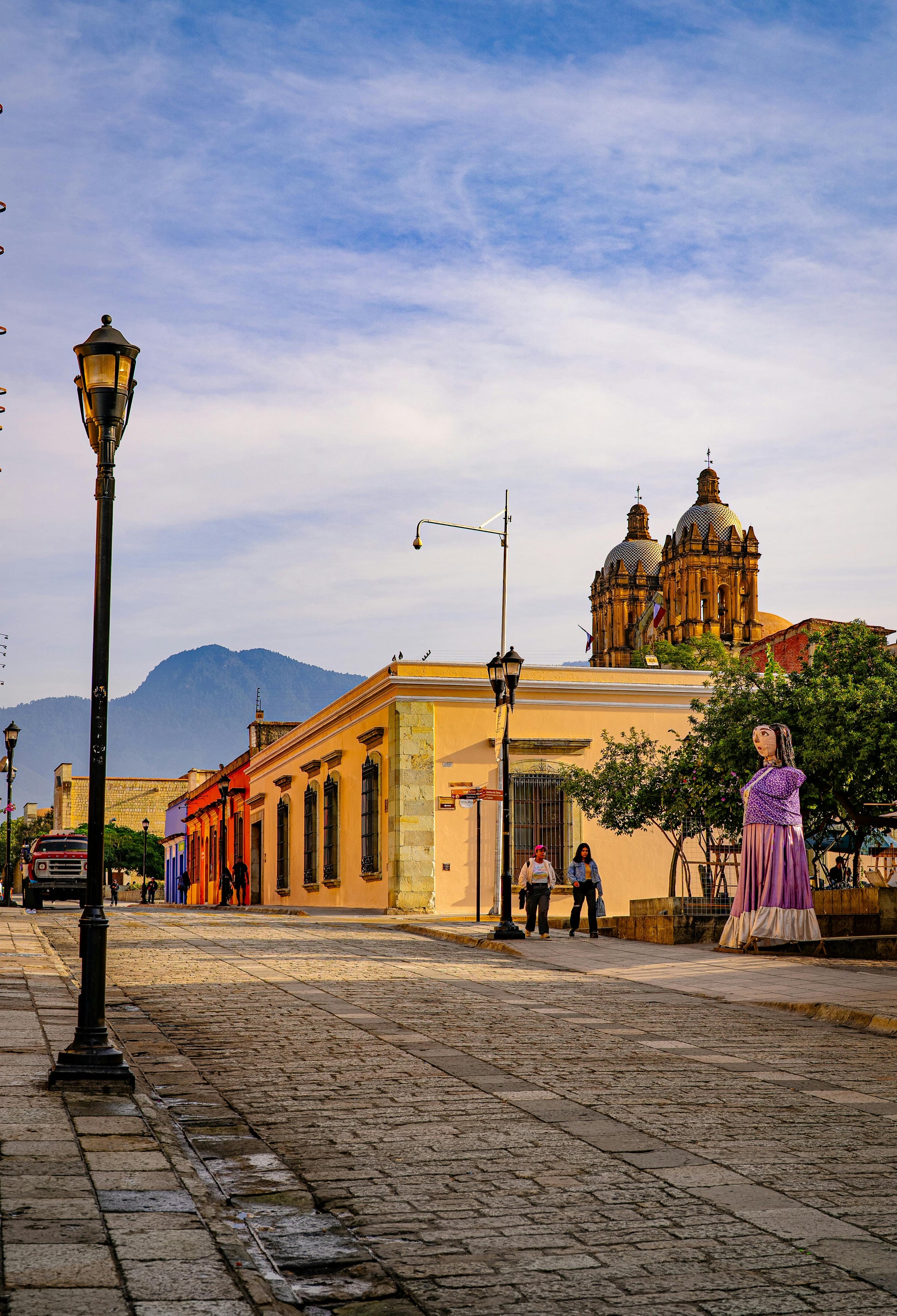 Oaxaca de Juárez, origen del café de microlote tostado para Fantina